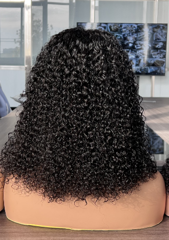 Lumiere Afro Kinky Curly Human Hair Wig 13x4 Lace Front For Black Women HDZ