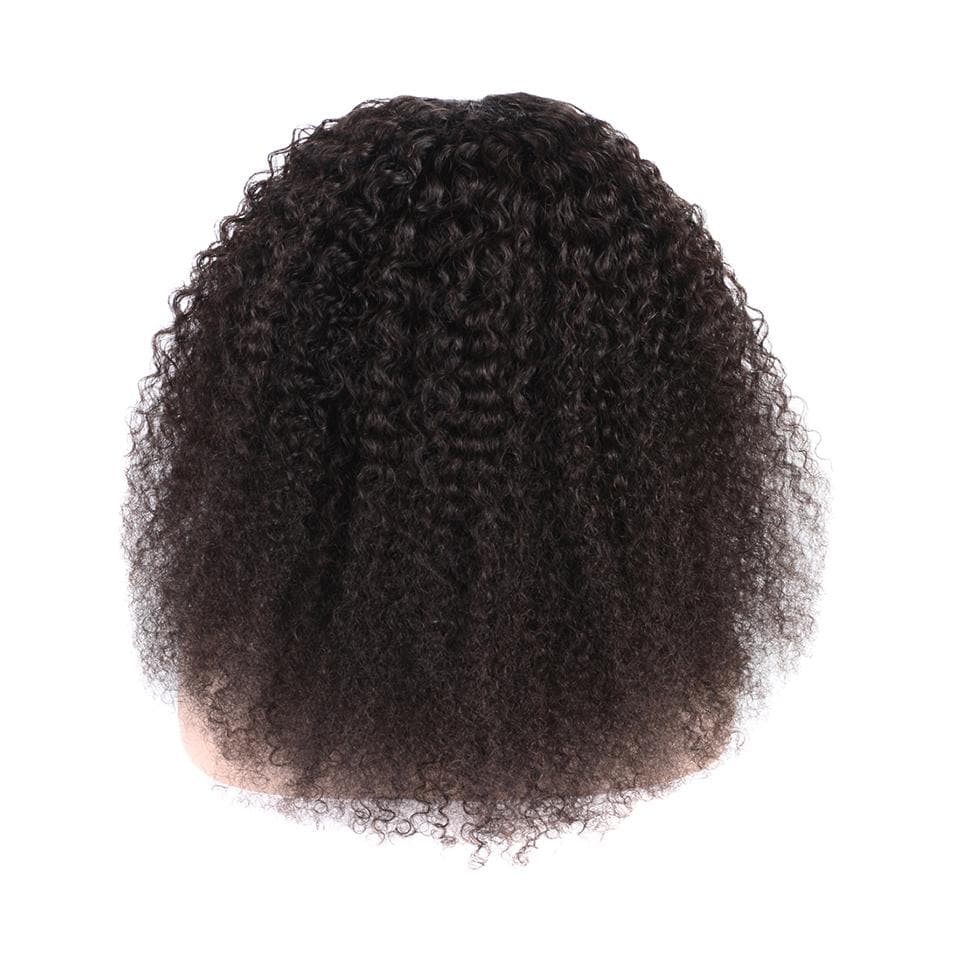 Lumiere Kinky Curly Lace Frontal / Closure Wigs Virgin Human Hair With Baby Hair - Lumiere hair