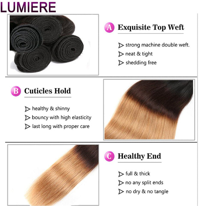 Malaysian Ombre 1b/4/27 Straight 4 Bundles with 4X4 lace Closure Human Hair - Lumiere hair