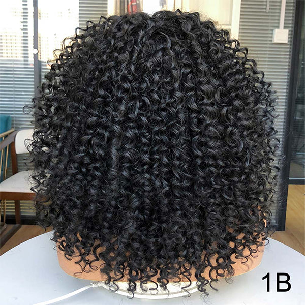 13x1x6 T Part Lace Front Wigs for Women Bouncy Curly Wigs 180% Density