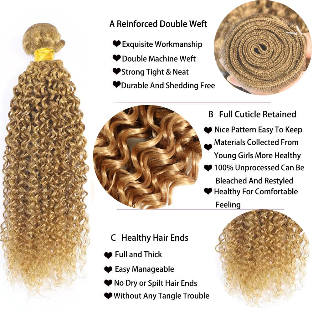 #27 Bundles Human Hair Water Wave 2 Bundles Brazilian Virgin  Hair  Honey Blonde  Human Hair Extensions