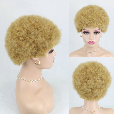 Droite Pixie Coupe Court Bob 13X1X4 T Partie HD Dentelle Perruques de Cheveux Humains Pour Les Femmes 