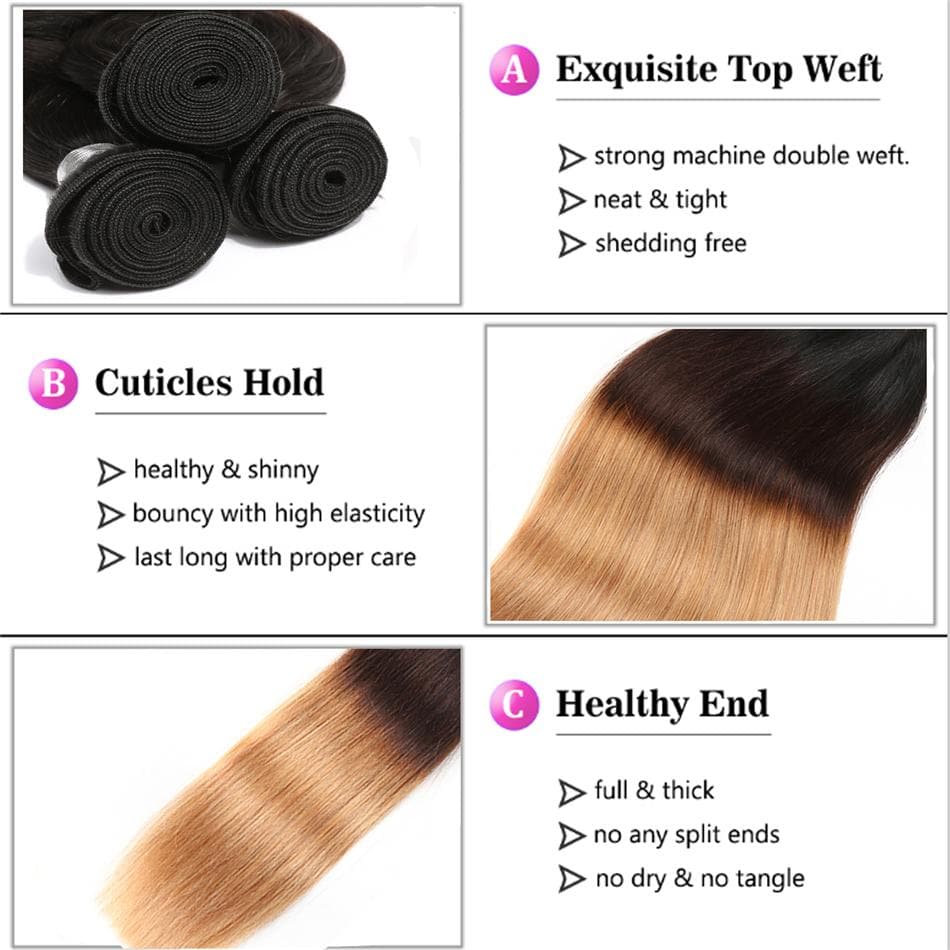 lumiere 3 Bundles Ombre 1b/4/27  Color Straight Virgin Human Hair Extension - Lumiere hair