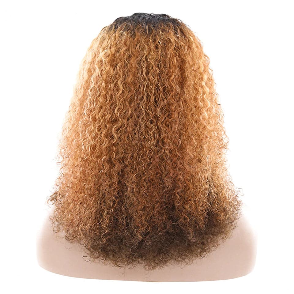 Afro Kinky Curly OP#27 Long Human Hair Wigs For Black Women None Lace