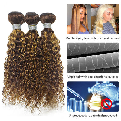 Highlight P4/27 Water Wave 3 Bundles With 4X4 Transparent Lace Closure Brazilian Hair
