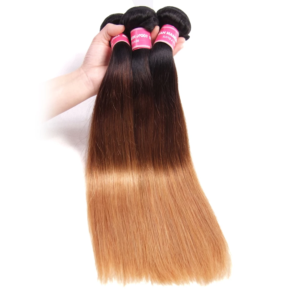 lumiere Hair Malaysian Ombre Straight 3 Bundles with 4X4 Closure Human Hair Free Shipping